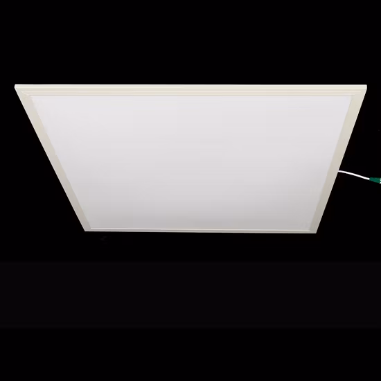 A4 ライト/ダークT